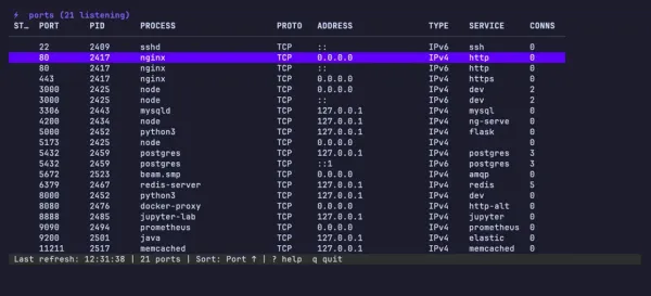 The ports TUI listing 21 listening ports in a table of port, PID, process, protocol, address, type and service, with the nginx row on port 80 selected and a footer showing refresh time and sort order.